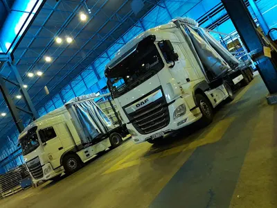 Leopard TSL Poland Radosław Kwiatkowski